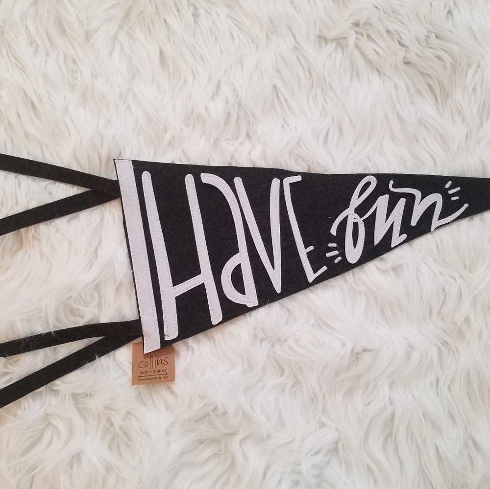 Embroidered "Have Fun" felt pennant